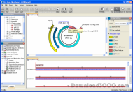 CLC DNA Workbench screenshot